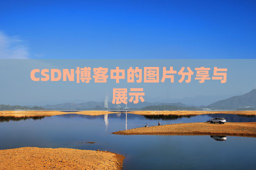 CSDN博客中的图片分享与展示